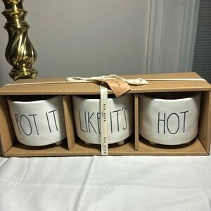 Rae Dunn small planters with pot it like it’s hot